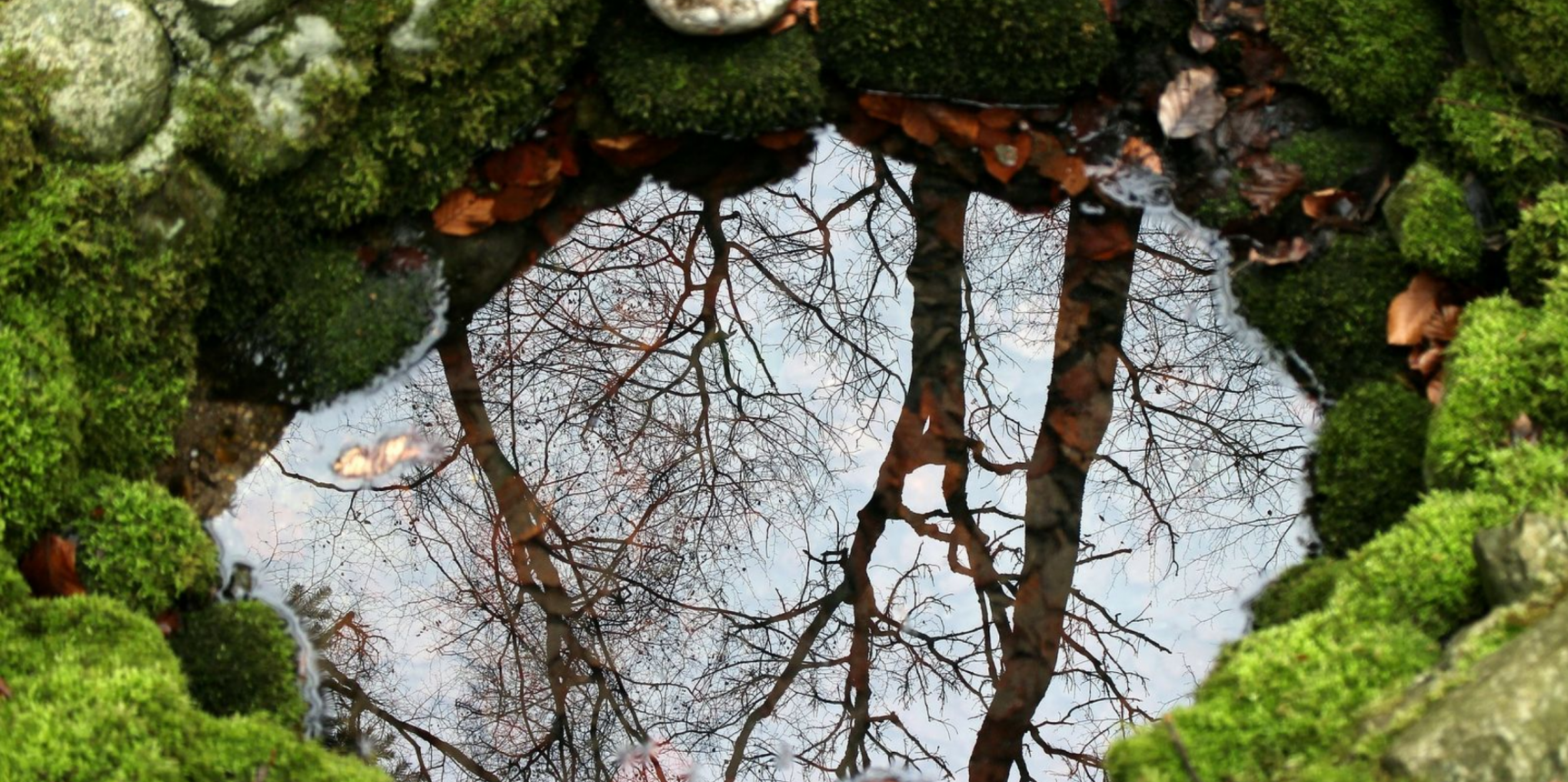 Picture of reflecting pool